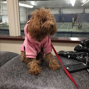 Meet your Posher, Natalie